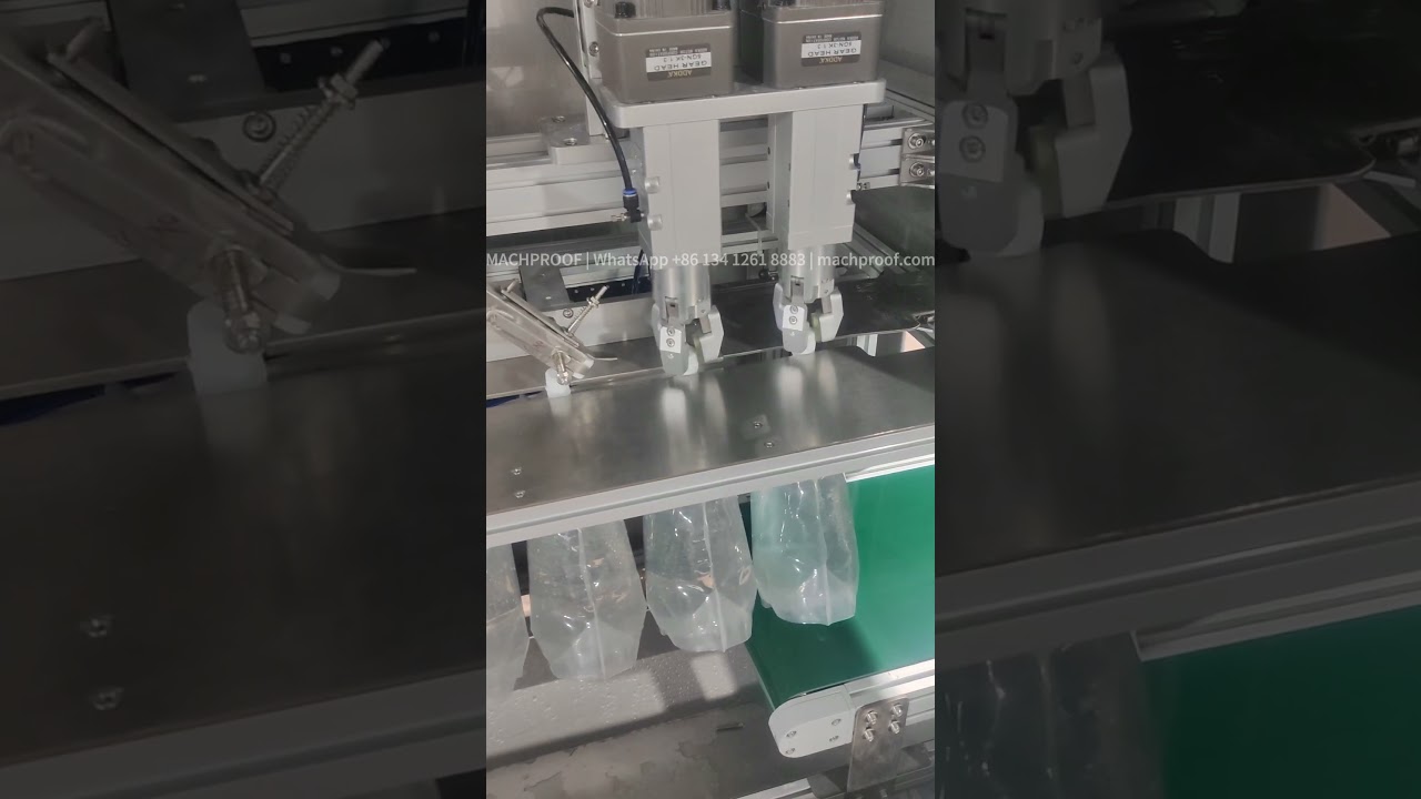 Laundry Detergent Pouch Filling Machine — 1000 ml stand-up pouch · filling & capping machine · magnetic pump
