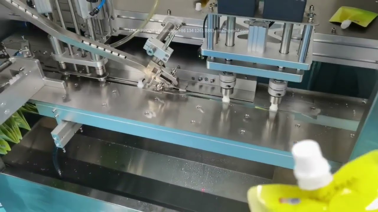Beverage Pouch Filling Line — 100 ml stand-up pouch · filling & capping line · magnetic pump · ±1%