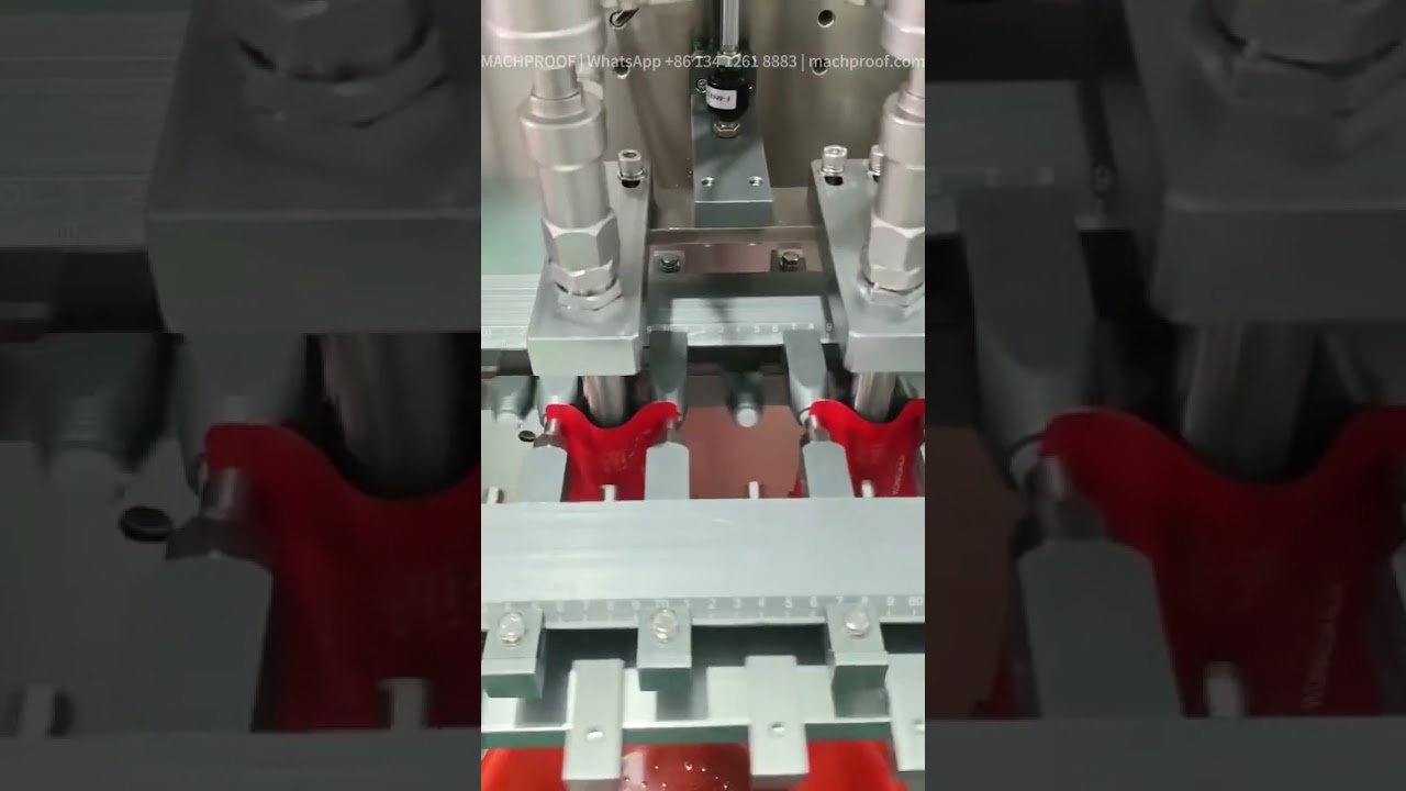 Plain Stand-up Pouch Filling Machine — 100–1000 ml no-spout pouch · automatic · metered dosing