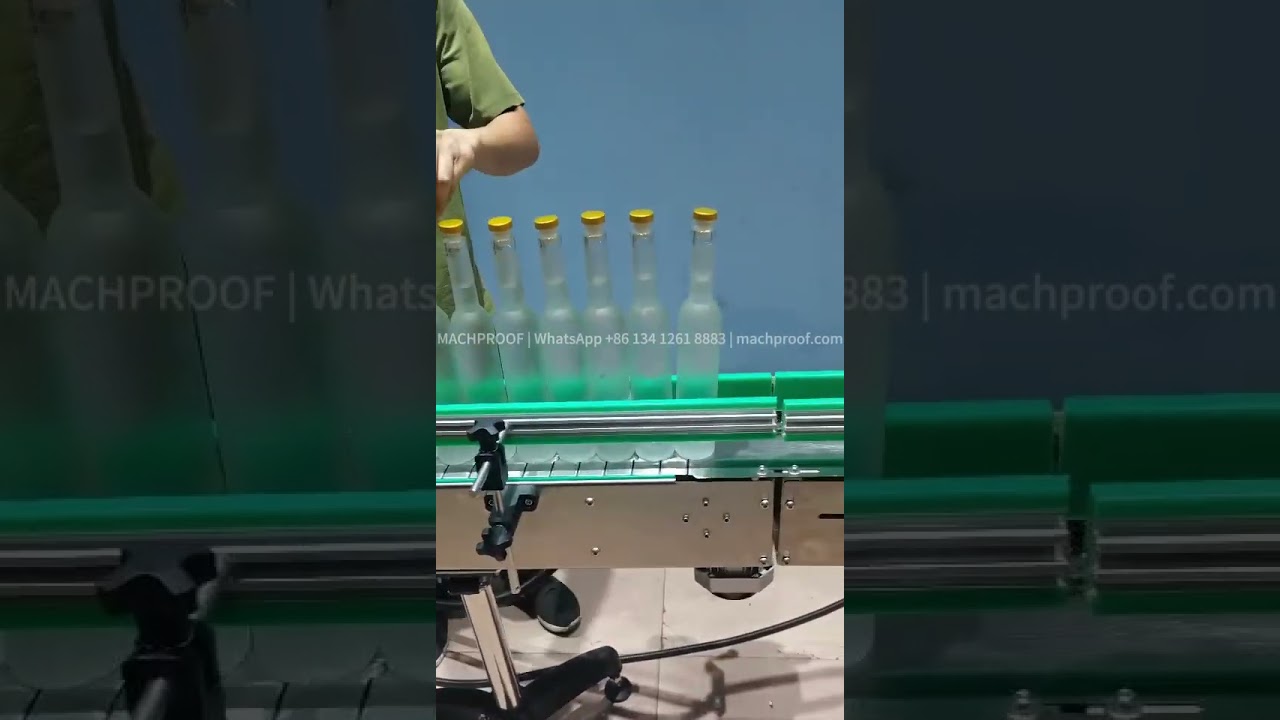 Glass Bottle Washing Machine — 100–1000 ml · 6 heads · inverted clamp-and-flip washing